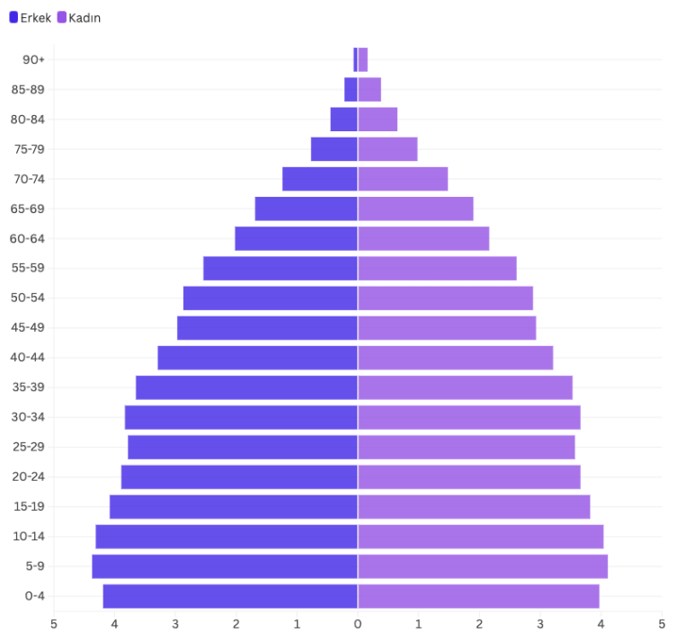 Türkiye'de yaşlı nüfus bir yılda yaklaşık 520 bin kişi arttı